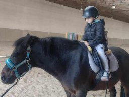 46271438310068052045807614637321906309778598n